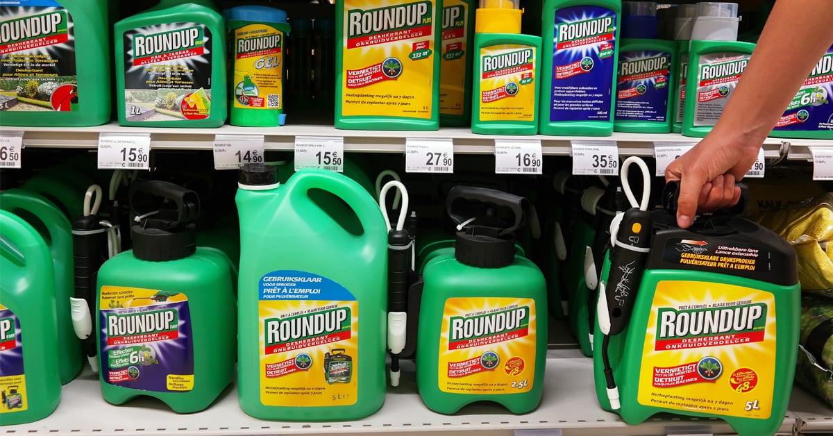 The poison in our daily bread: Study finds high levels of weedkiller in  common supermarket foods