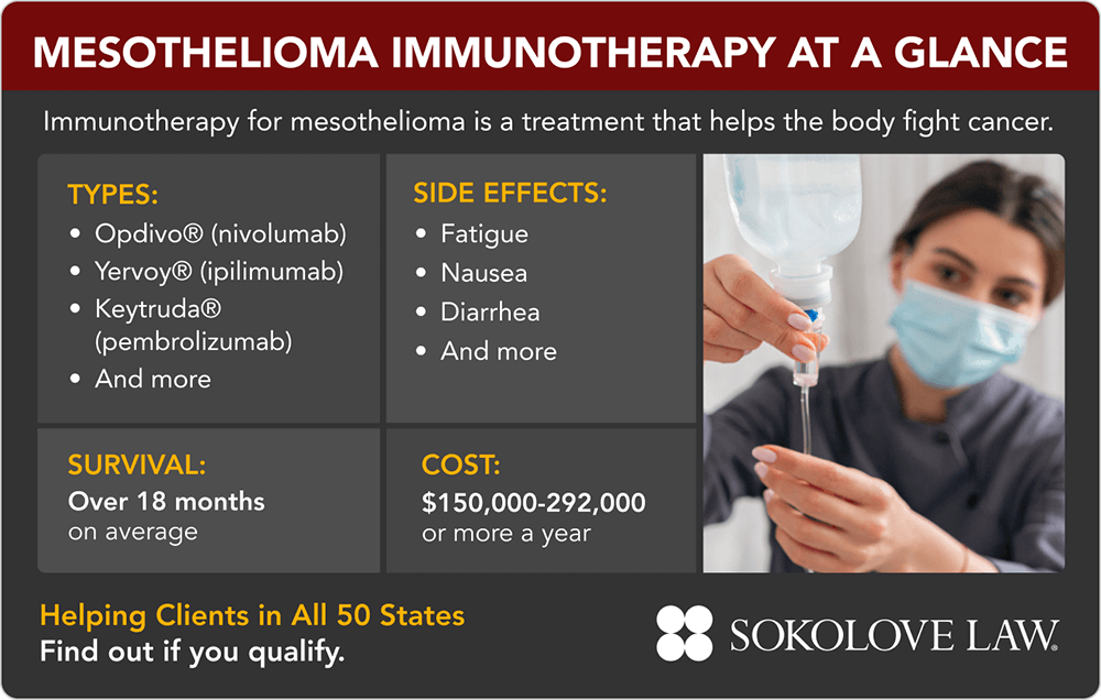 Mesothelioma Immunotherapy at a Glance