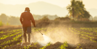 A worker sprays Roundup on a field